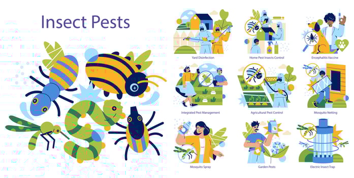 Insect Pests. Flat Illustration vector