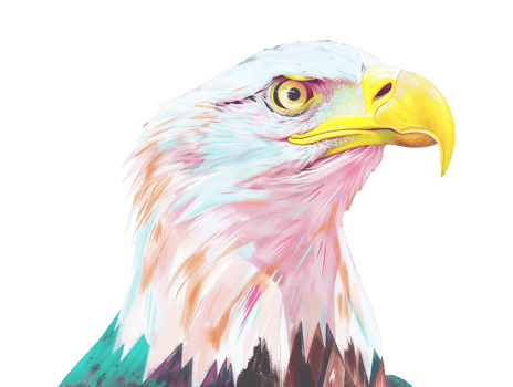 American bald eagle png