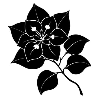 bougainvillea flower black silhouette illustration vector