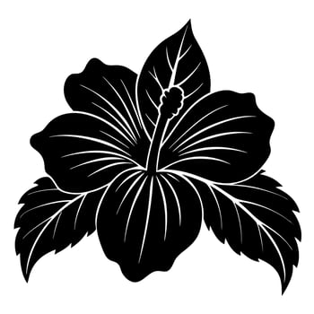 hibiscus flower black silhouette illustration vector