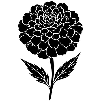 marigold flower black silhouette illustration vector