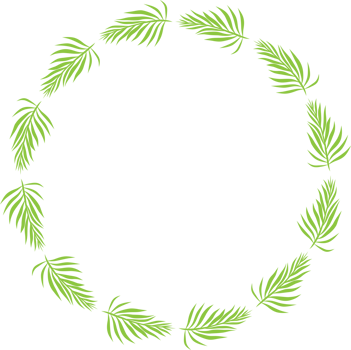 Green leaf wreath illustration on transparent background. png