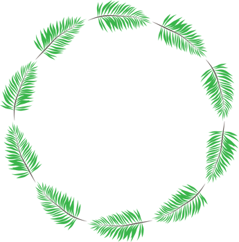 Green leaf wreath illustration on transparent background. png