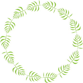 Green leaf wreath illustration on transparent background. png