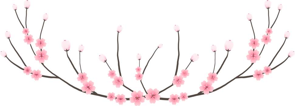 Cherry blossom branch with sakura flower illustration on transparent background. png