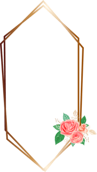 Pink rose geometric frame illustration on transparent background. png