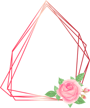 Pink rose geometric frame illustration on transparent background. png