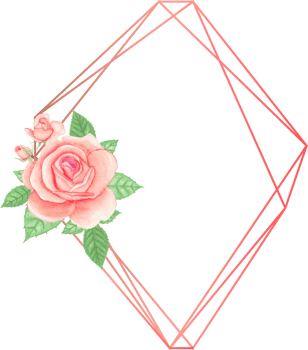 Pink rose geometric frame illustration on transparent background. png