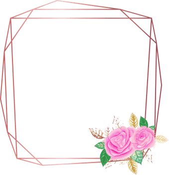 Pink rose geometric frame illustration on transparent background. png