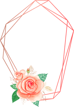 Orange rose geometric frame illustration on transparent background. png