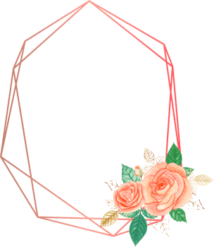 Pink rose geometric frame illustration on transparent background. png