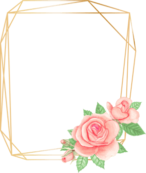 Pink rose geometric frame illustration on transparent background. png
