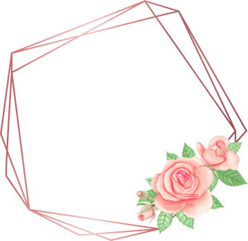 Pink rose geometric frame illustration on transparent background. png