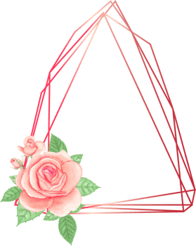 Pink rose geometric frame illustration on transparent background. png