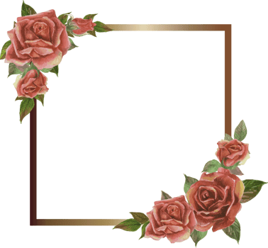 Rose frame illustration on transparent background. png