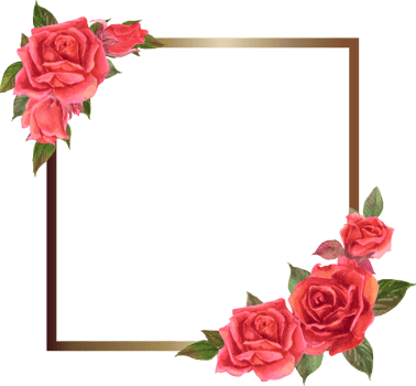 Pink rose frame illustration on transparent background. png
