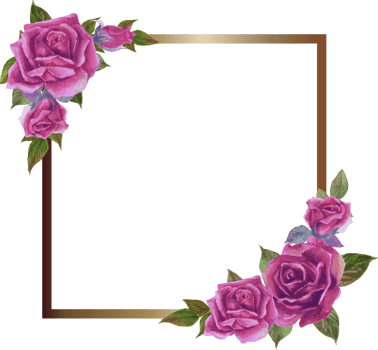 Purple rose frame illustration on transparent background. png