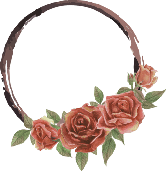 Rose frame illustration on transparent background. png
