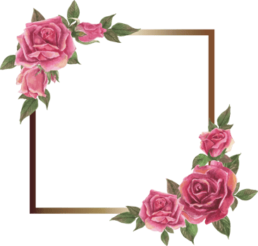 Pink rose frame illustration on transparent background. png