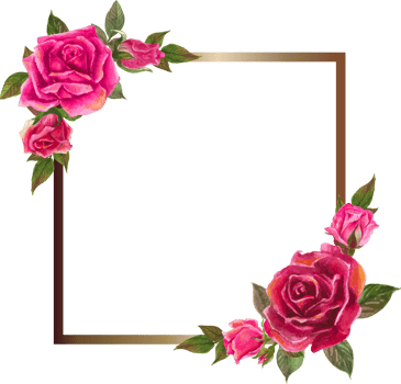 Rose frame illustration on transparent background. png