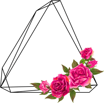 Pink rose geometric frame illustration on transparent background. png