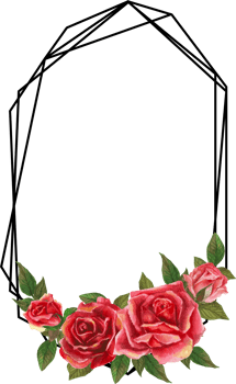 Red rose geometric frame illustration on transparent background. png