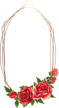 Red rose geometric frame illustration on transparent background. png