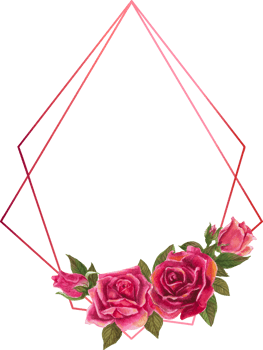 Red rose geometric frame illustration on transparent background. png