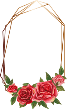 Red rose geometric frame illustration on transparent background. png