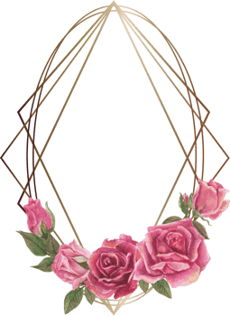 Pink rose geometric frame illustration on transparent background. png