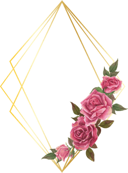 Pink rose geometric frame illustration on transparent background. png