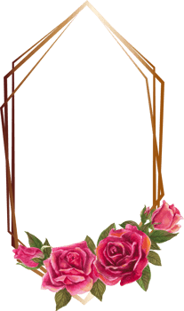 Red rose geometric frame illustration on transparent background. png
