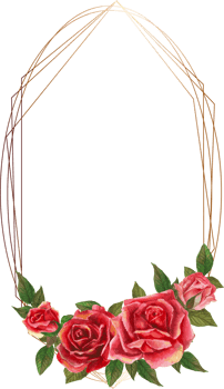 Red rose geometric frame illustration on transparent background. png