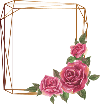 Pink rose geometric frame illustration on transparent background. png