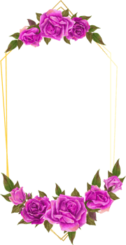 Purple rose geometric frame illustration on transparent background. png