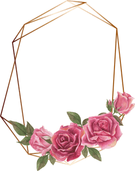 Pink rose geometric frame illustration on transparent background. png