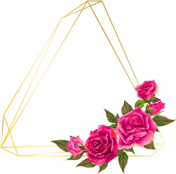 Pink rose geometric frame illustration on transparent background. png