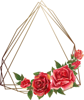 Red rose geometric frame illustration on transparent background. png