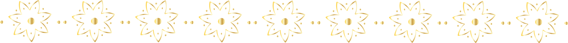 Flower line border illustration on transparent background. png
