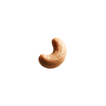 Cashew nut on transparent background png
