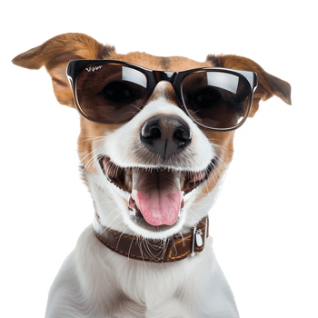 Cheerful Puppy in Sunglasses Isolated on Transparent png