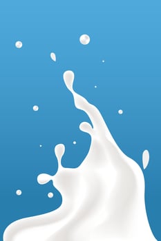 splash milky waves additional elements of milk design vector