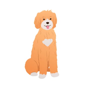 Goldendoodle sitting on white background. Adorable dog colorful cartoon illustration in flat style. Friendly curly-haired puppy vector