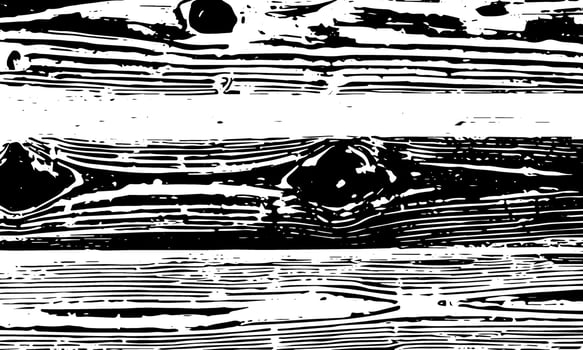 Grunge detailed black abstract texture. Stripes, veins. background vector