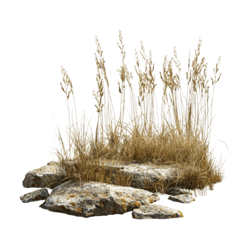 Mountain Land Footer on Transparent Background png