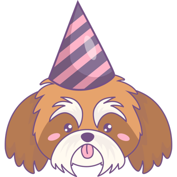 Portrait Shih Tzu dog in birthday cap png
