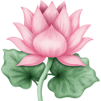 Beautiful lotus flower png