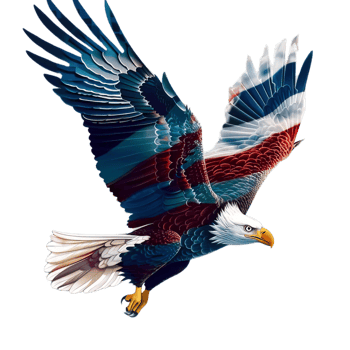 an eagle flying in the air with its wings spread wide png