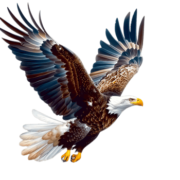 Powerful American Eagle Proudly Surrounded by USA Flags, Iconic Symbol of National Pride for Design Projects and Celebrations png