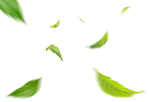 Green Floating Leaves Flying Leaves Green Leaf Dancing, Air Purifier Atmosphere Simple Main Picture png